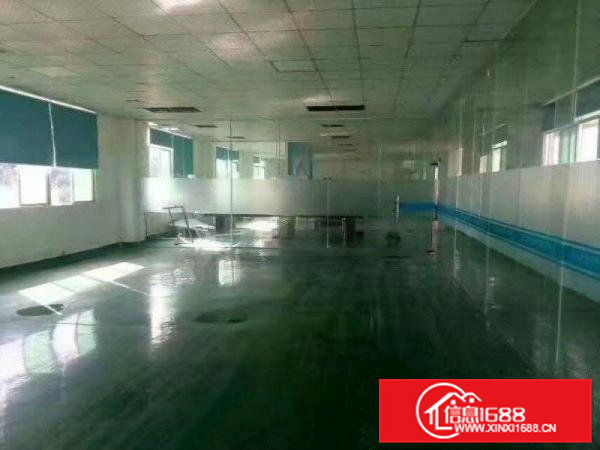 精装修办公，大朗科技园二楼1300方价格便宜