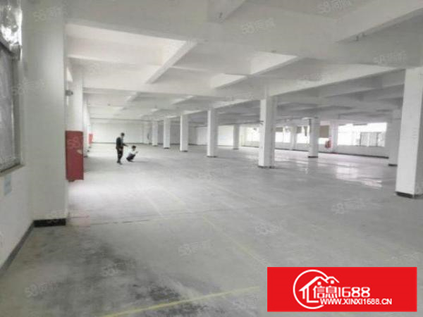 勒流富安新出标准1楼1200方带办公水电气全租金便宜