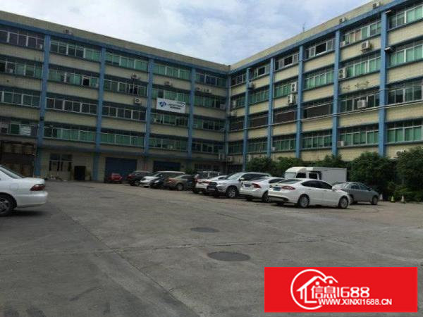 大浪新出700;900，1200平带装修厂房