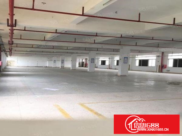 坪山六联新出800平米原房东高速出口带卸货平台无公摊厂房招租