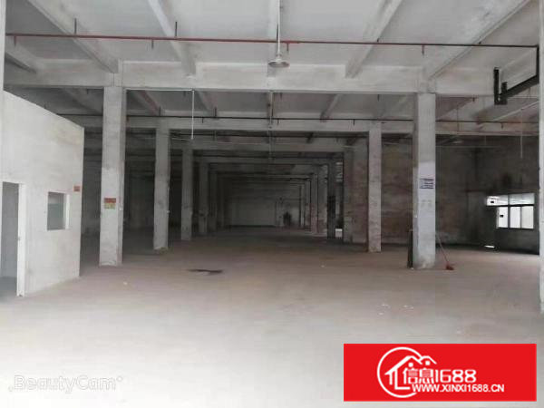 大岭山新出标准厂房出租