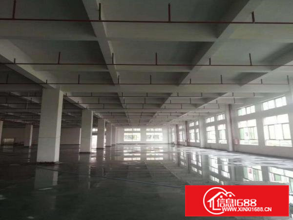 大朗象山工业城原房东可分租楼上三楼1000方13元，带装修