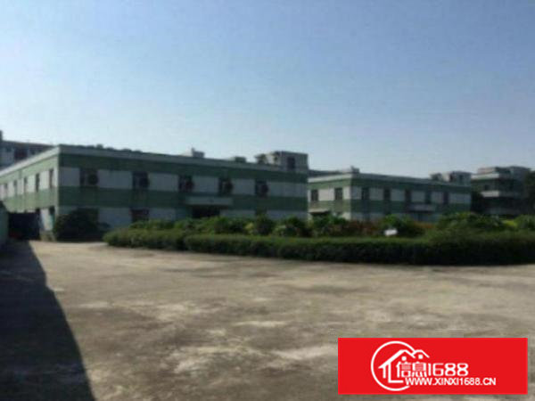 高埗标准一楼或二楼1500平方出租带现成装修办公室装修