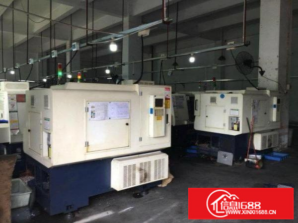 惠阳新圩镇长布新出红本厂房一楼450平出租，靠近主干道