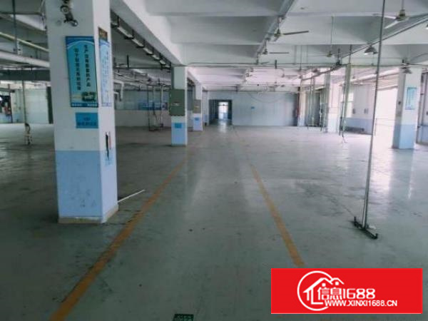 万江新出1200平米标准一楼