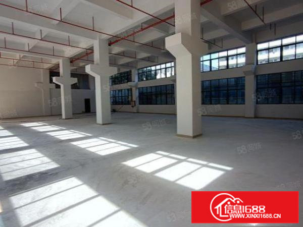 凤岗原房东全新独院厂房4层4000平方厂房价格实惠