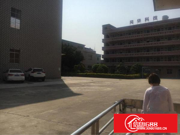 清溪镇新出标准独院厂房招租