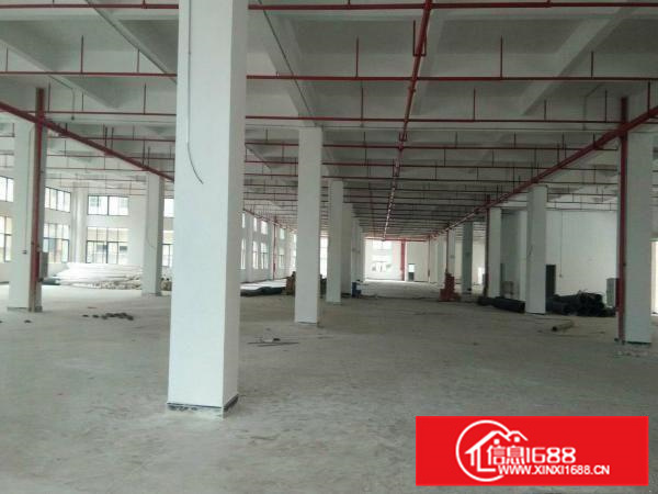 惠阳镇隆50000平米全新工业园厂房出租