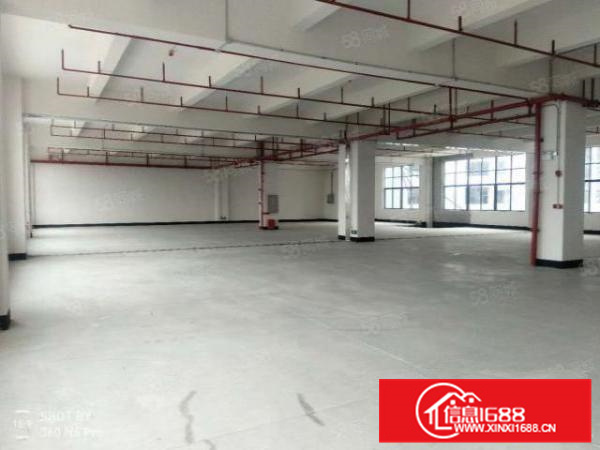 大良3001000方楼层式厂房，租金13元起，有办公室。