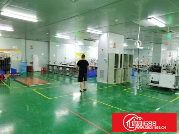 观澜全新无尘车间1500平19全包精装免转让费拎包入住级别高