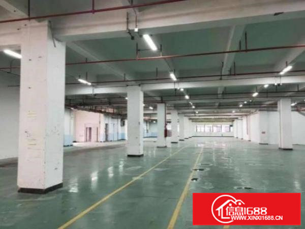 清溪谢坑村标准厂房一楼出租400平方原房东可