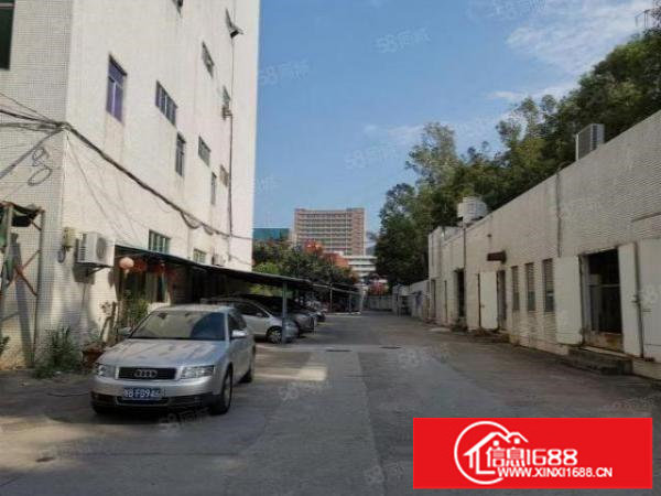 龙岗区横岗六约一楼1100平二楼2400平出租，可分租