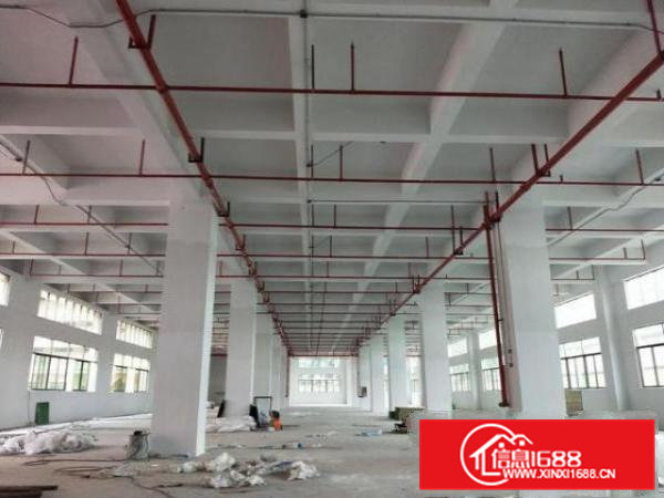 凤岗竹塘村委厂房独院2栋共22000平方可以分租