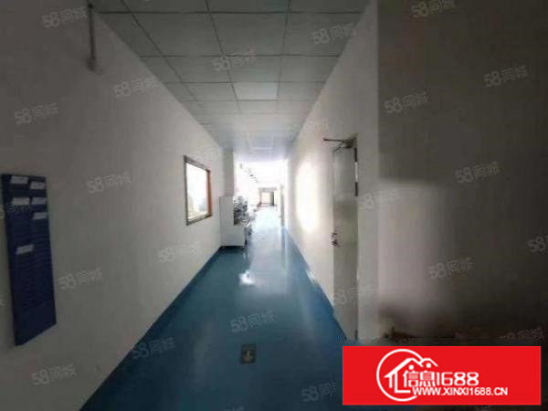 观澜福民新出一整层豪华装修1300平方带装修直接出租