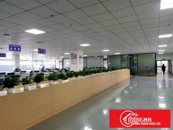 清溪全新豪华装修独立二楼5600平，层高4.5米