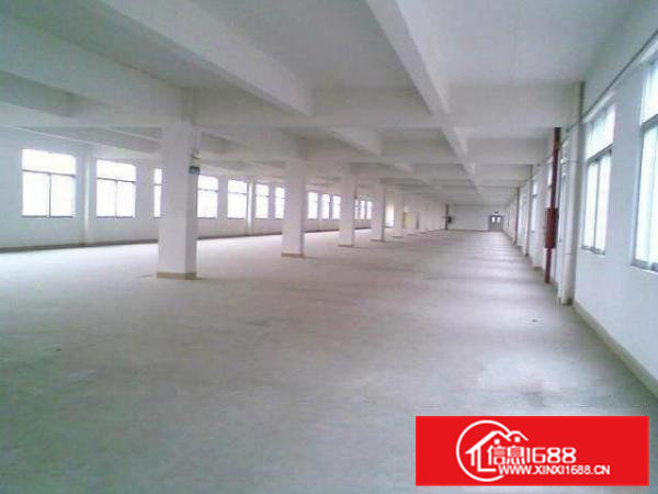 常平镇独院标准厂房13层2000平方