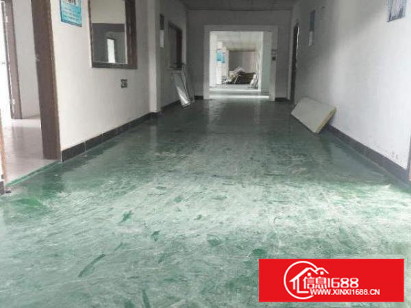 出租樟木头镇厂房含地坪漆电梯无尘车间