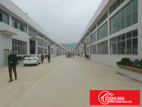 惠阳秋长西湖原房东钢构厂房3000平米低价出租