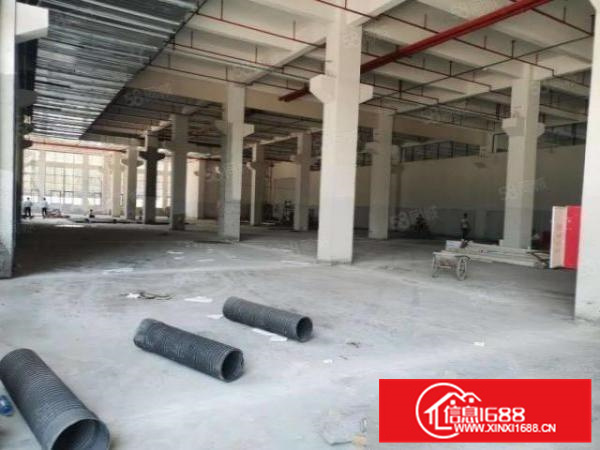 龙江镇陈涌全新，可办环评，可分租，带红本厂房