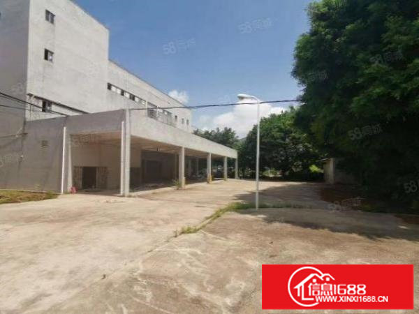 房东直租南岭一二楼各3100平厂房，高5.4米160平35元