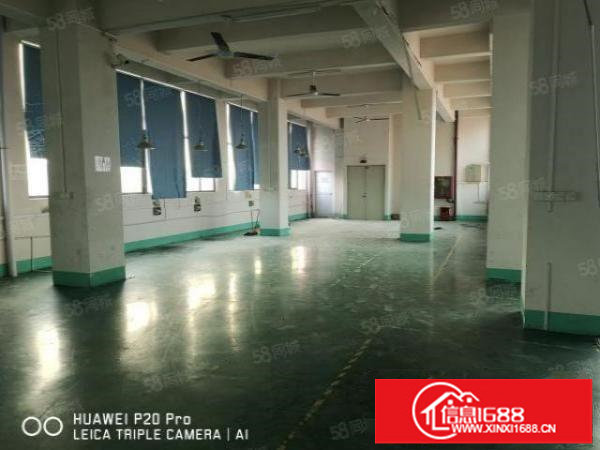 龙华区观澜12层共3700平方独院厂房招租，花园式工业园区