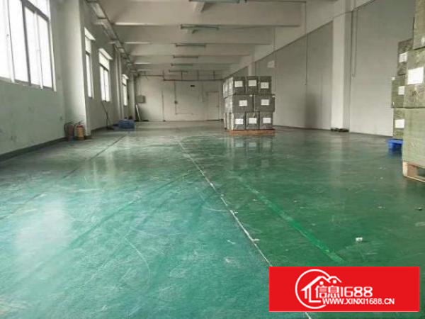 出租石排镇石排城区260平方厂房，精装修