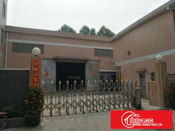 高埗厂房出租单一层钢构厂房宿舍办公共1410平