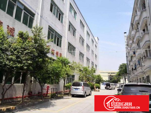 梅观高速出口1150平米出租