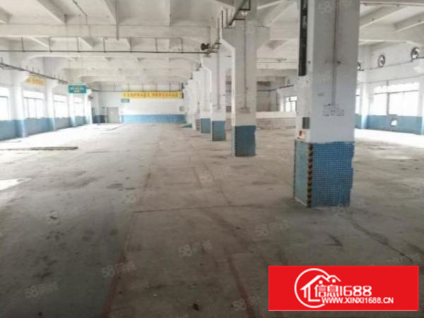 万江蚬涌独门独院，超大空地，大小可分租厂房出租