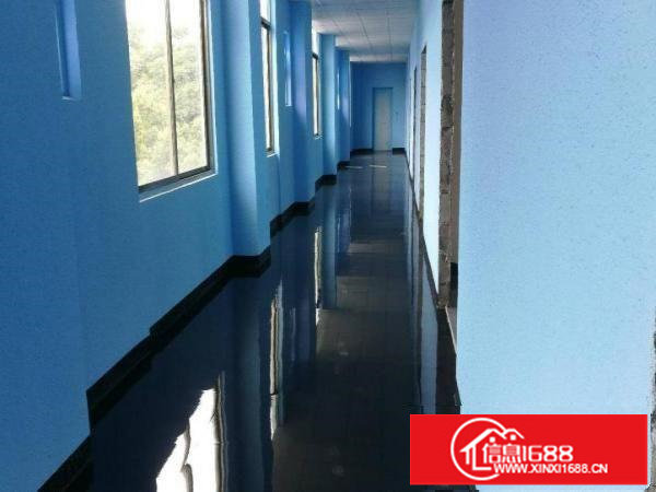 观澜全新精装修商业，办公楼招租