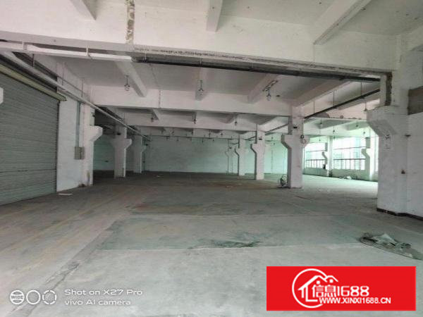 塘厦科苑城新出标准一楼750平带牛角现成办公室花园式厂房出租