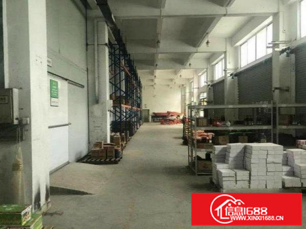 坂田花园式一楼厂房3600平，层高6米，900平起分租