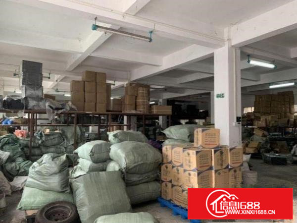 金洲工业区标准一楼厂房600平方分租，价格实惠