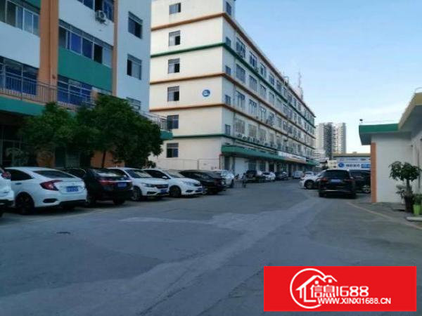 横岗六约沃尔玛附近园区红本厂房3楼1580平方招租