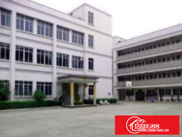 高埗1000平方优质楼房2楼厂房仓库出租