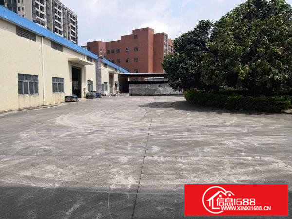 石排独院3600平方单一层厂房招租，可分租