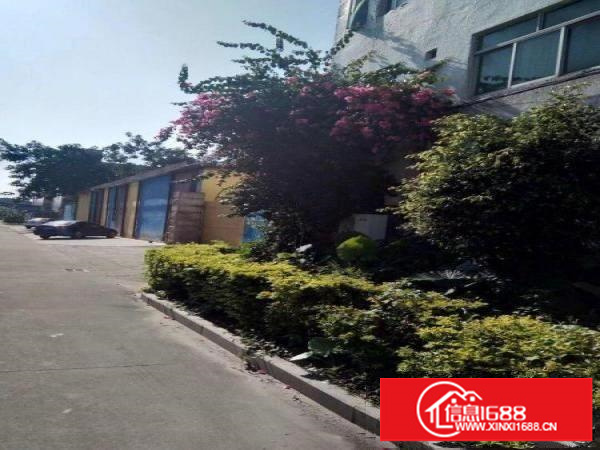 坪山田头社区仓库3500平米