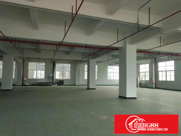 大岭山唯一一个欧式厂房出租，带环评带装修可分租