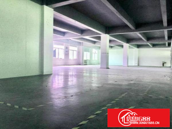 深圳龙华大浪原房东厂房出租面积793平