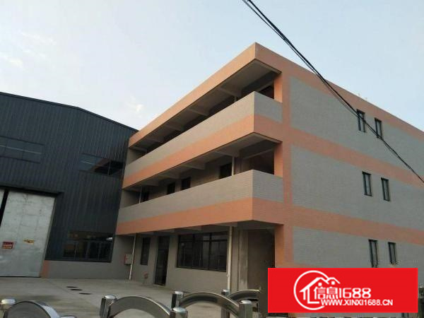 经典全新独门独院低水位10米带牛腿位厂房出租