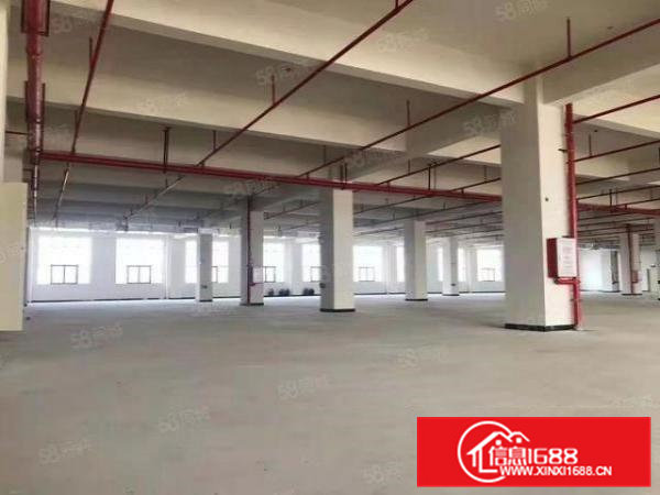 寮步凫山原房东全新标准独院厂房1000平方出租。现成装修