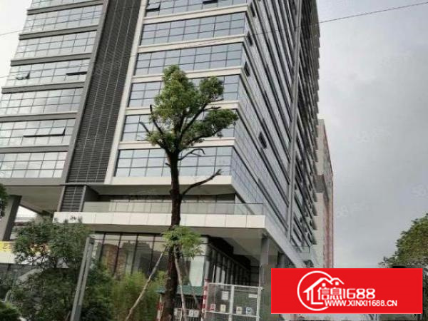 免租期一年的红本厂房580平起租总面积10万平