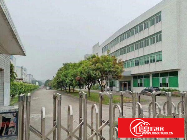 大利1楼标准厂房420平高6米厂房招租，空地超大