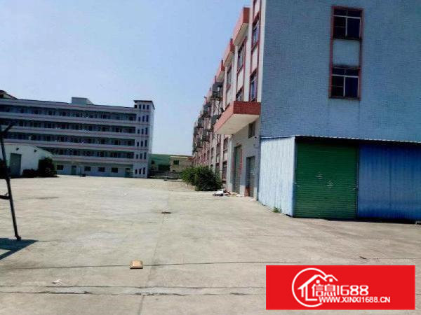 常平新出独院厂房6000平米带装修出租