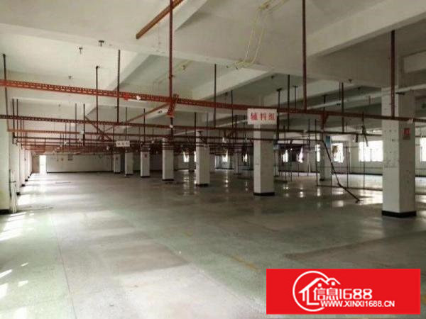 布吉地铁口附近科技园单层2000平方共5层厂房出租