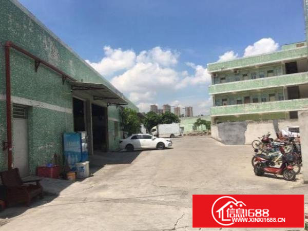 出租坪山区坑梓街道秀新社区独院钢构一楼厂房1000平带办公室