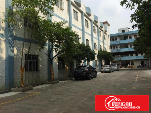 东莞桥头新出独门独院带装修标准厂房4500平方出租