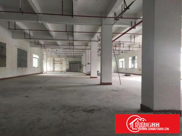 龙岗区横岗安良250平方厂房仓库招租