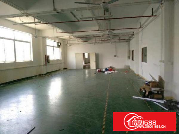沙井新桥芙蓉工业区530平精装修厂房出租无公摊