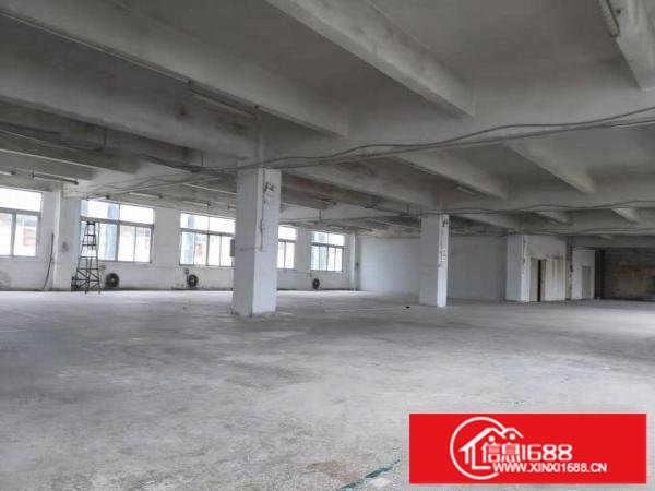 龙岗同乐社区新空出1180平方标准厂房15元出租
